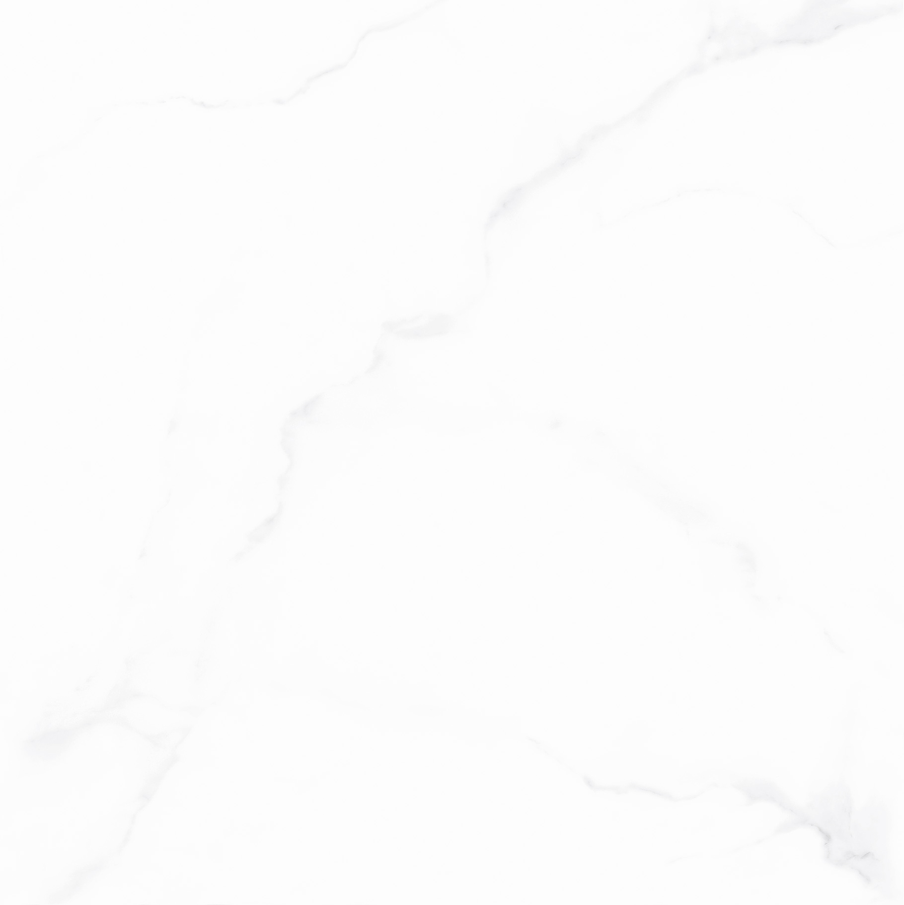 YCYB80119圖斯